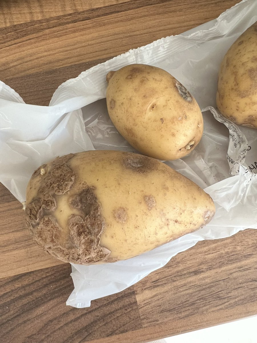 louiseahendy's tweet photo. @HelloFreshUK really not impressed by the quality of these potatoes received in this weeks delivery! 🤢 How can I raise a complaint about this? https://t.co/3R7fwtkZuj