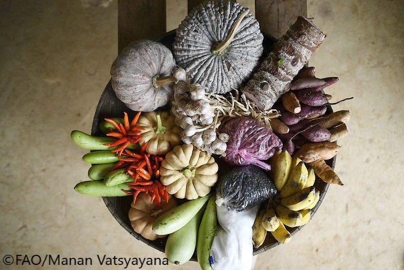 FAO's tweet photo. Food connects us all. In fact, food is part of who we are.

Food is much more than what is on our plates. It is a privilege. 

Here are 9⃣ easy actions we can all take to re-connect with food &amp; what it stands for 🧵👇

#FoodWaste https://t.co/XAEOgxBUW1