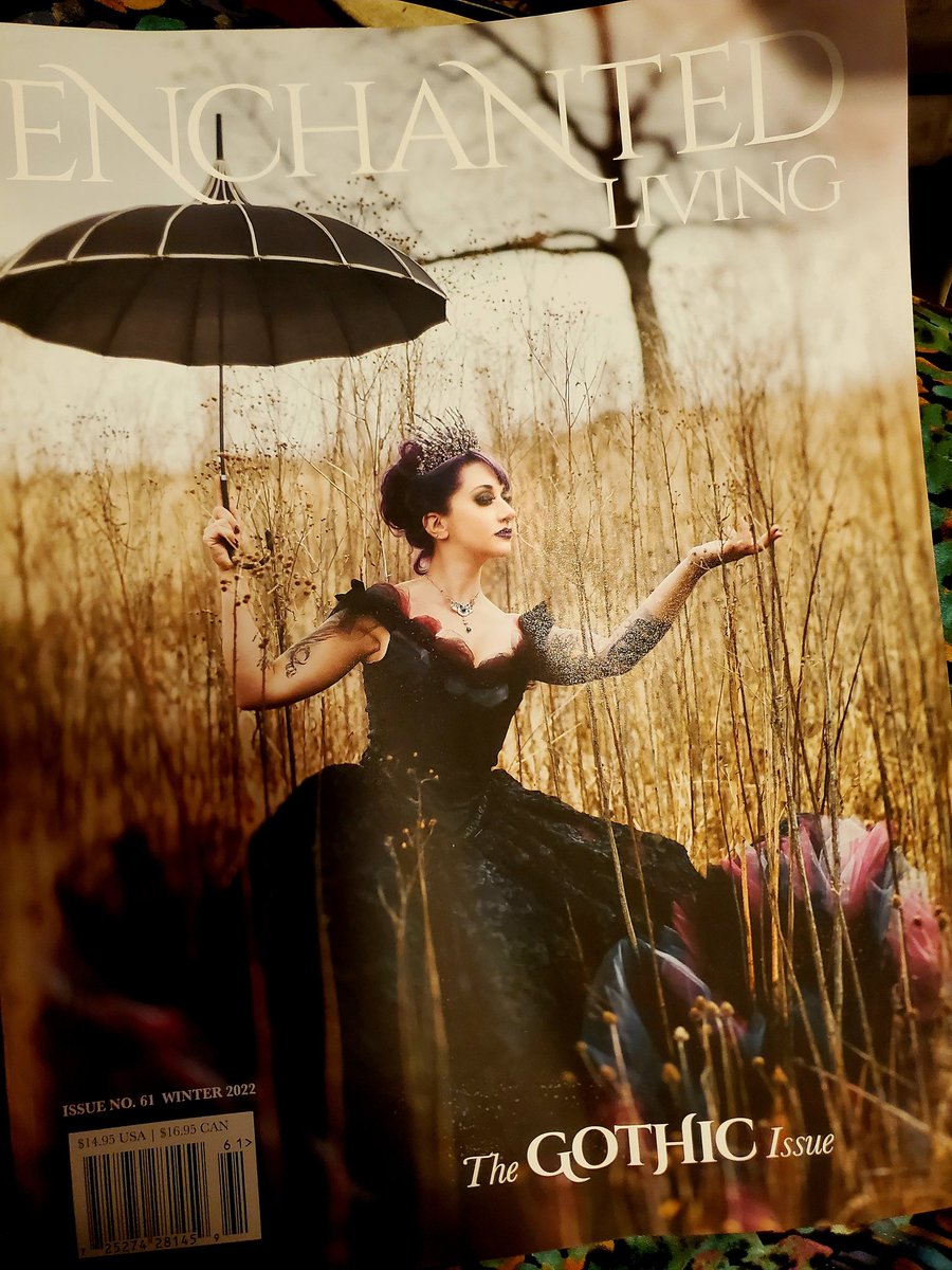 laurieannforest's tweet photo. The #DeathFae issue of my dreams has arrived 🖤 @Faeriemagazine https://t.co/kPdNUovzL7