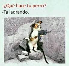 💜KOI💜isidoro el patrón (@jorgeelfurioso7) on Twitter photo 