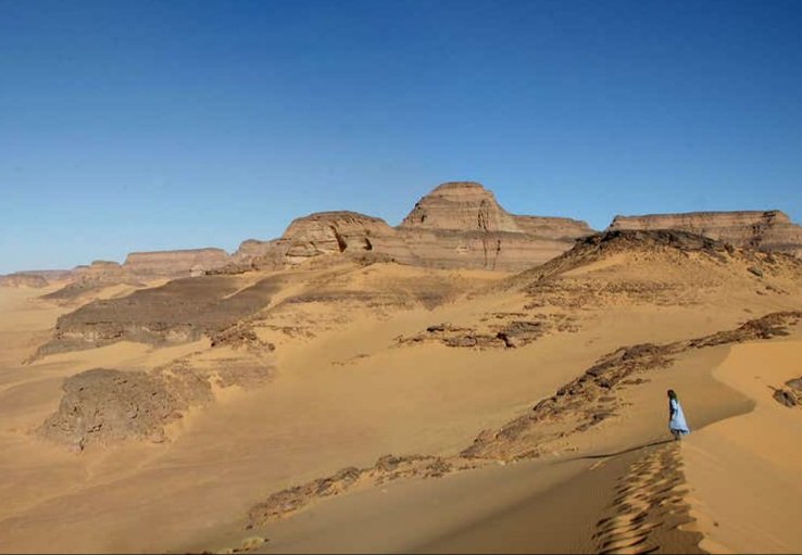 thinknorth's tweet image. The moment you realized that you entered the #TransferPortal after leaving @AlabamaFTBL, which boasts a record of 186-21 since 2008.