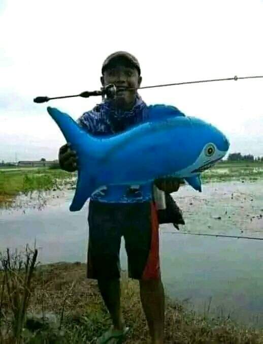 Arwann_ST's tweet photo. Ok now finally catch something.. 😁 https://t.co/HaAcCN5s6K