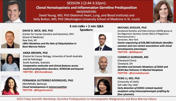 Go get you some impression of the 🇺🇸🇮🇹powerhouse <a href="/CarmeloGurnari/">Carmelo Gurnari</a> today on germline mutations! A wonderful line up of presentations with <a href="/DrAnnaBrown/">Anna Brown</a> <a href="/DNApriori/">Michael D. Kessler</a> <a href="/fergutierrezro1/">Fernanda Gutierrez-Rodrigues</a>.

Carmelo is an astonishing scientist! Im honored to call him my friend and part of <a href="/TheEBMT_Trainee/">The EBMT Trainee Committee</a>🙏