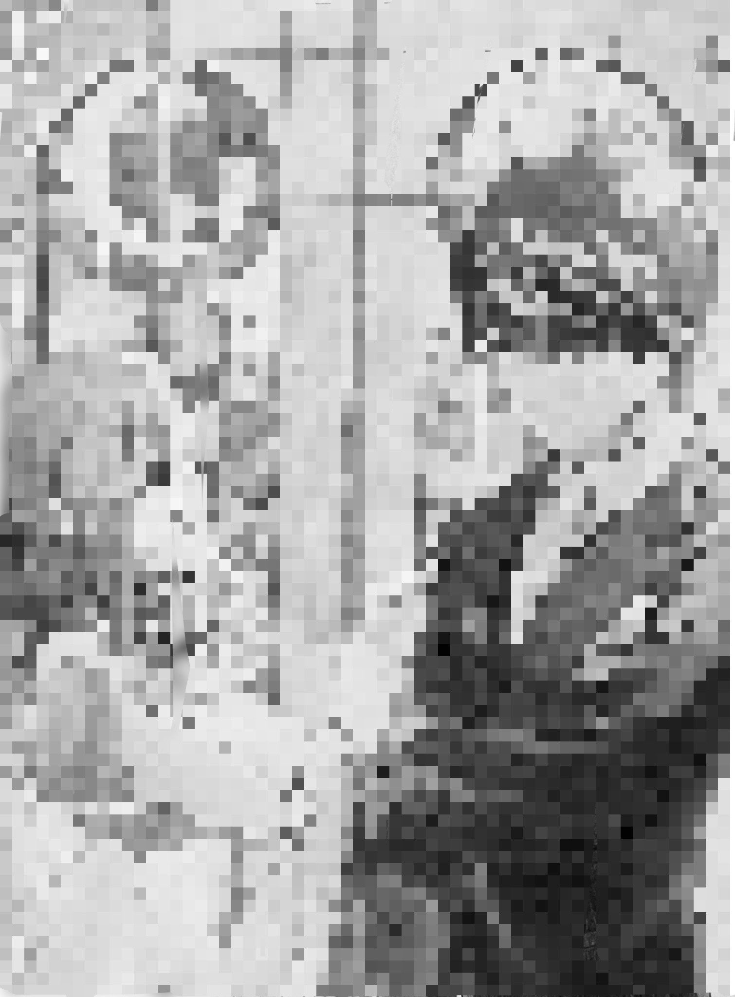 シャーペン画 Twitter Search Twitter