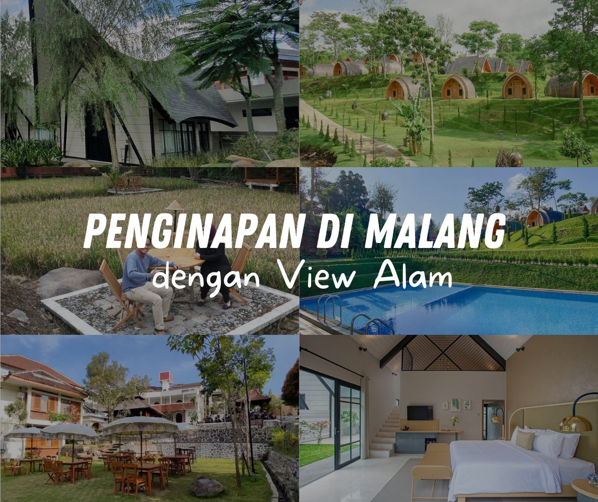 pegipegi's tweet photo. Rekomendasi hotel di Malang dengan view alam yang manjain mata. Wajib banget masuk wishlist staycation kamu!

<a thread>

#rekomendasihotel #rekomendasivilla https://t.co/qQuLX3mk6t