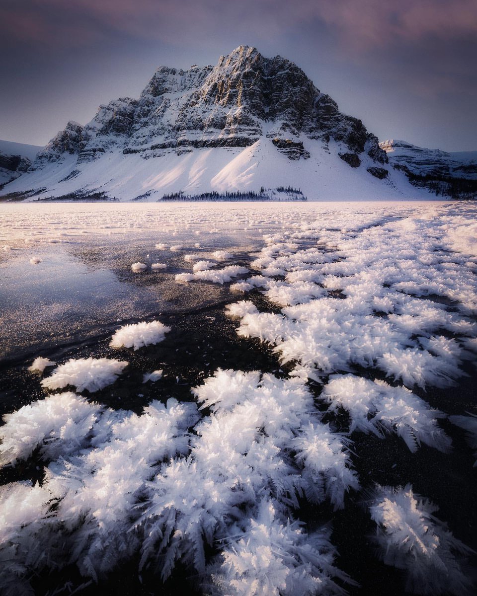 CanadaVisuals's tweet photo. Good morning from Banff 

#canadavisuals #banff #mountains https://t.co/WyZebgOhtf
