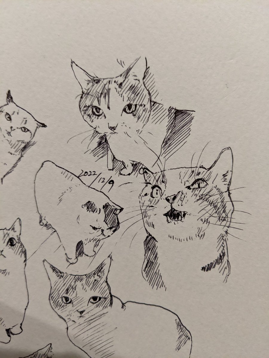 世間が自分を見離しても自分だけは応援する(ウサイン・ボルト) カキカキ。 