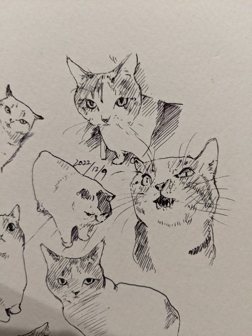 世間が自分を見離しても自分だけは応援する(ウサイン・ボルト) カキカキ。 