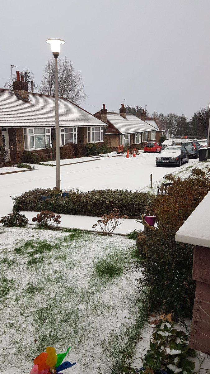 Guess what. In Mariners Park.