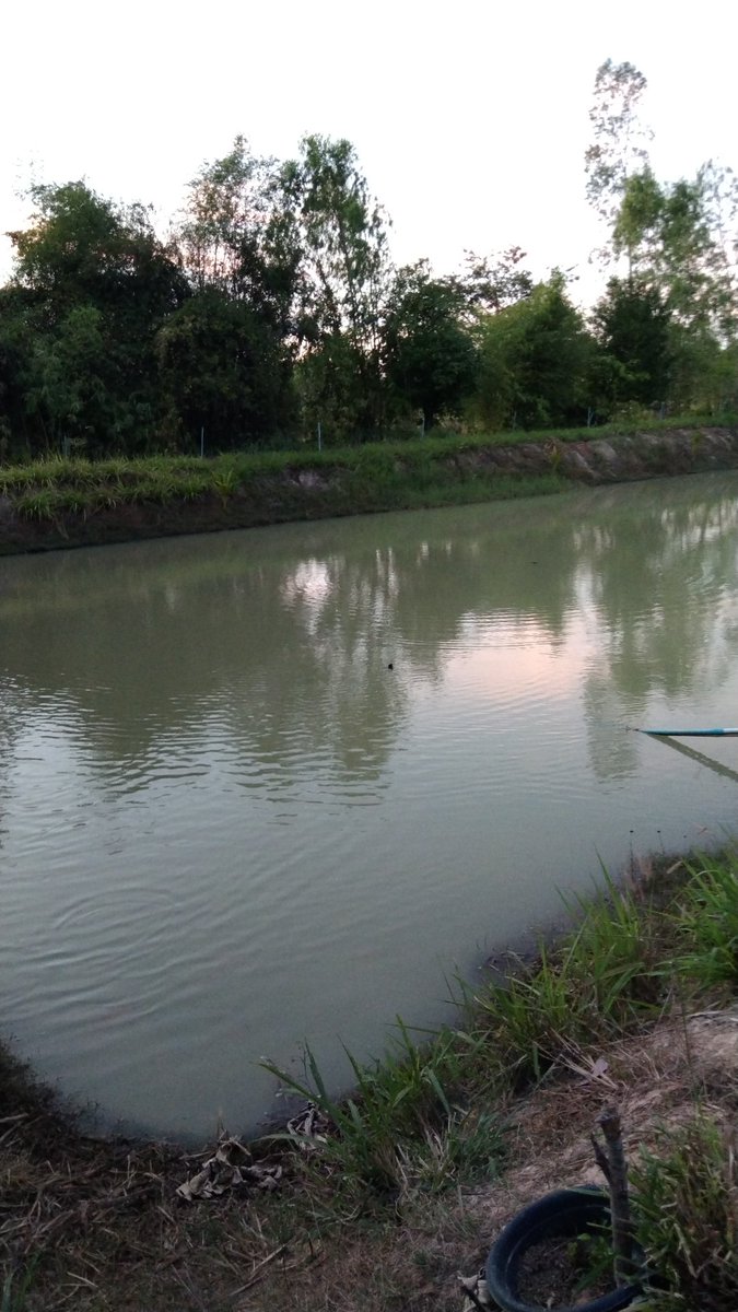 สุขกายแต่ไม่สุขใจ?โปรดเหวี่ยงใครก้อได้มารักกูทีคนบนฟ้า