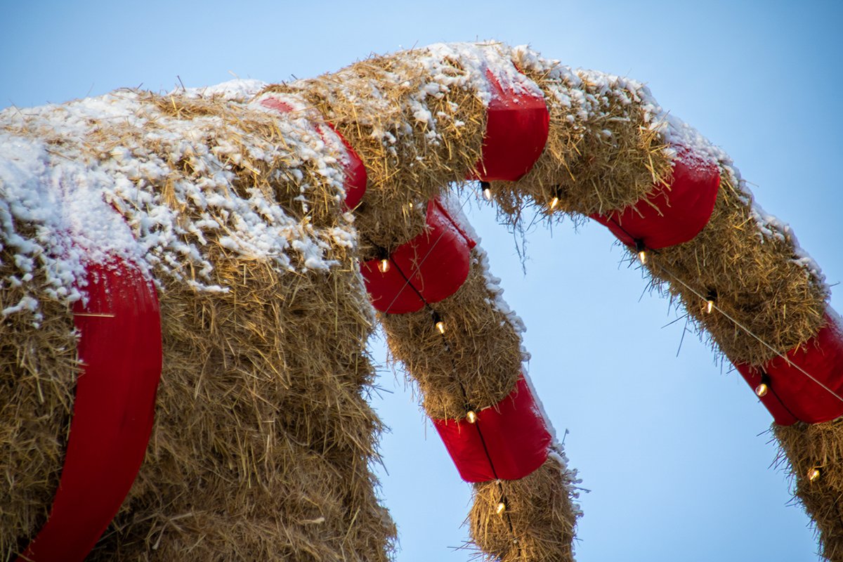 Gavlebocken's tweet photo. I’m ready for my close-up 📸 https://t.co/gFrmCGiosn