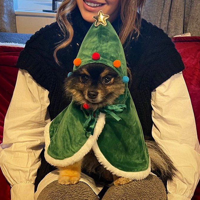 My dad @NicSamiotis is so mean to my dog Mando&hellip; https://t.co/iBqjpuUoww<a class="tags" target="_blank" title="On Twitter" href="/?out=eyJ0eXAiOiJKV1QiLCJhbGciOiJIUzUxMiJ9.eyJpYXQiOjE3MjA3MjgzNTgsImlzcyI6InR3cG9ybnN0YXJzLmNvbSIsIm5iZiI6MTcyMDcyODM1OCwiZXhwIjoxNzUyMjY0MzU4LCJyZWRpcmVjdF91cmwiOiJodHRwczovL3R3aXR0ZXIuY29tL05pY1NhbWlvdGlzIn0.nOqHtjeGHhu3GLkLJZdXyjdedxd14ZFAa9LkNtXnRmBNrevHqJEPMo2QaOULtlnDug12ghLxgDMrw6bUPl0nMA">@NicSamiotis</a>