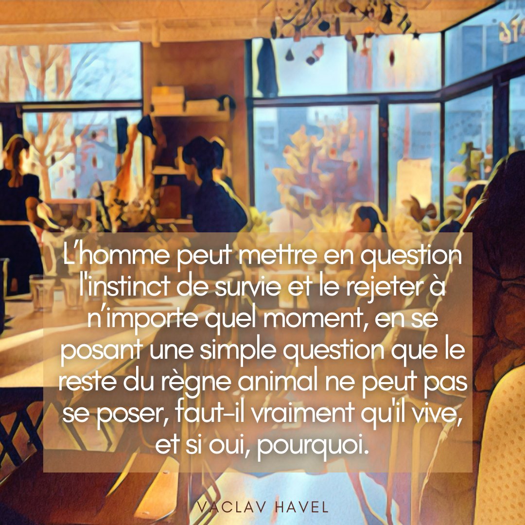 Le chemin de ma philosophie tweet media