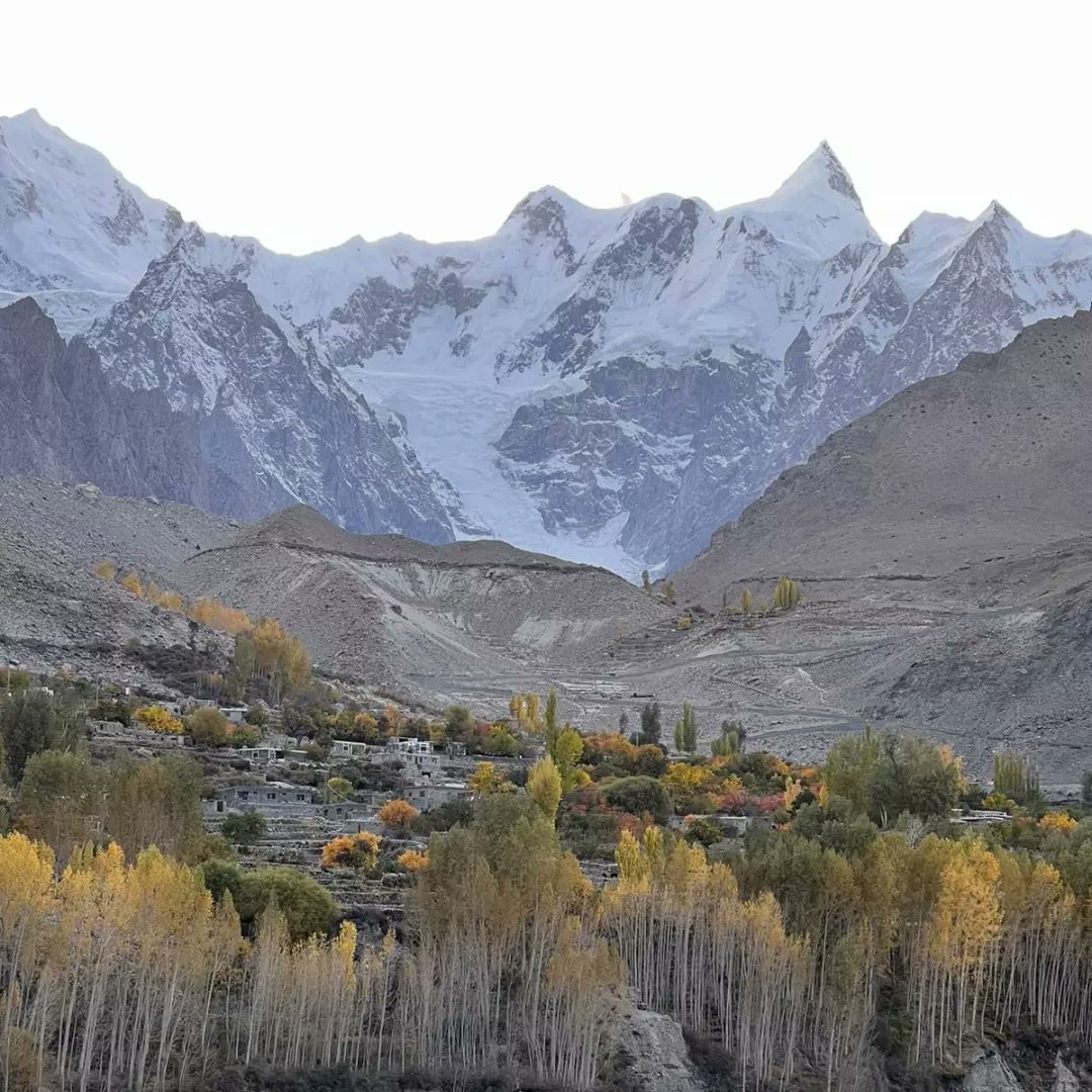 MuqeemBaig2's tweet photo. Shispare Peak-7611m, Hispar Muztagh a sub range of the Karakoram mountains in northern Pakistan. https://t.co/EO2iKcnCK7