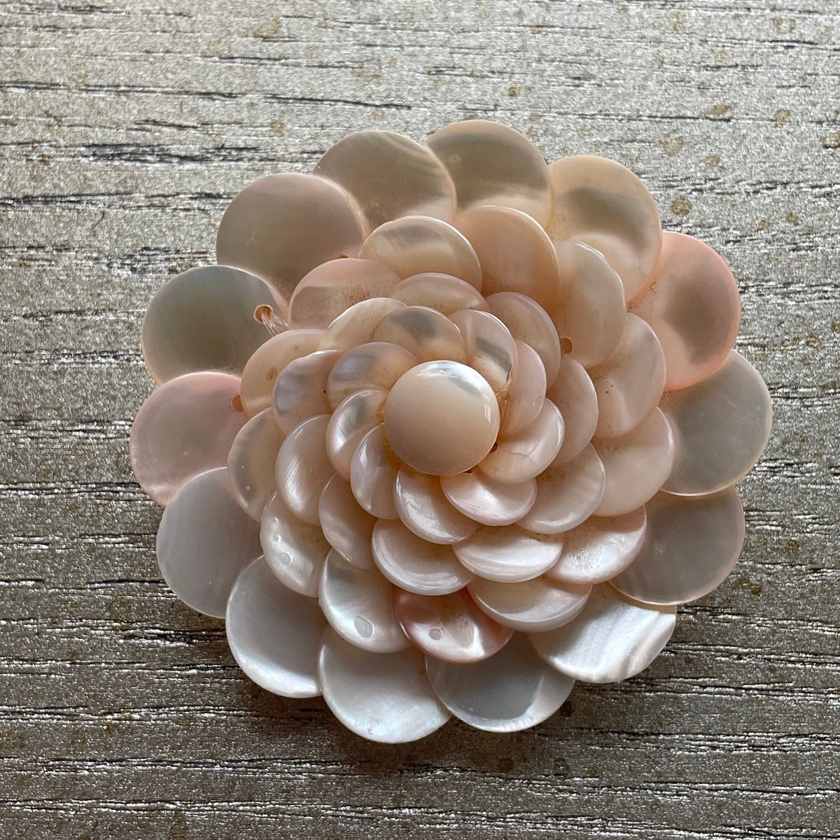 Thanks for the kind words! ★★★★★ 'wonderful broach in every way. fast shipping and wonderful item.  very pleased.' Marcy A. #etsy #floral #motherofpearl #vintageflower #vintagejewelry #antiquejewelry #jewelryshop #vintageahop #antiqueshop #giftshop etsy.me/3BoCpBz