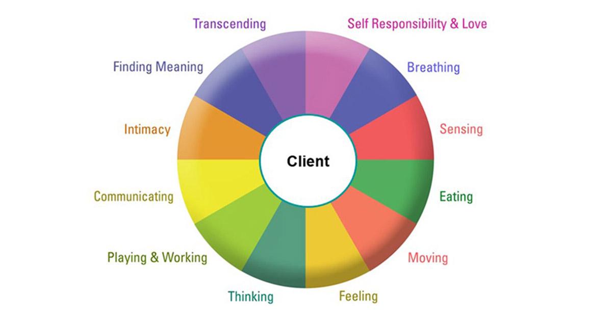 CertifyWellness's tweet image. Interested in becoming a Wellness Coach?
Looking for a program with a dynamic, whole person focus?
Take advantage of special holiday discount on 2023 Certification Training.
Register by December 31 and save $800.
Classes start February 21.
conta.cc/3VQi8wF