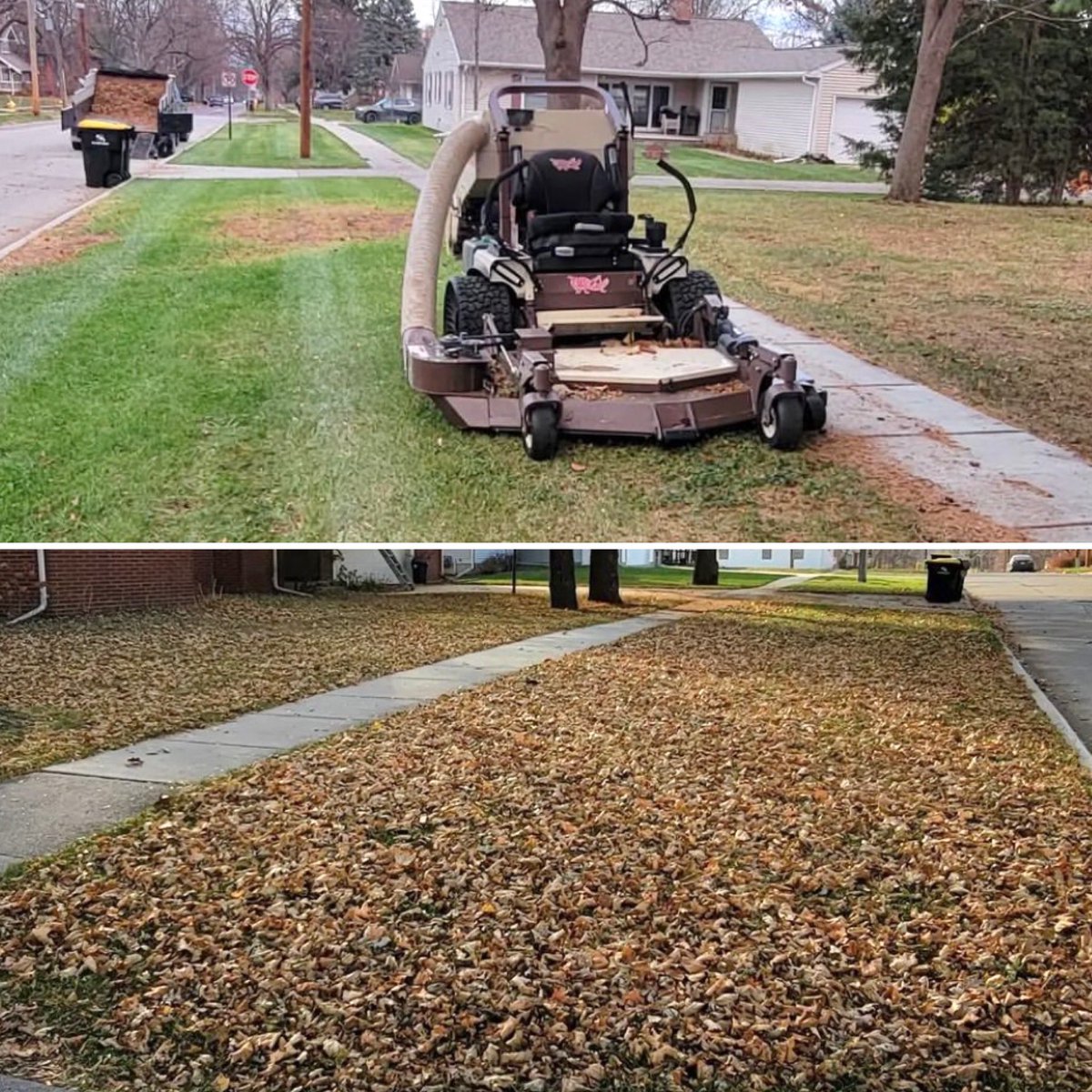 GrasshopperMowr's tweet photo. Leaf clean up, made easy. 🍂

📷 h/t The Grassy Knoll in IA 💯

#leaves #leafseason #grass #yard #lawncare #landscaping #lawnservice #lawnlife #yardwork #lawn #lawnmower #lawnmowing #mowing #mowday #mowers #mower #mow #mows #grasscutting #yournextmower #zeroturnmowers https://t.co/Sonqzh0YY2