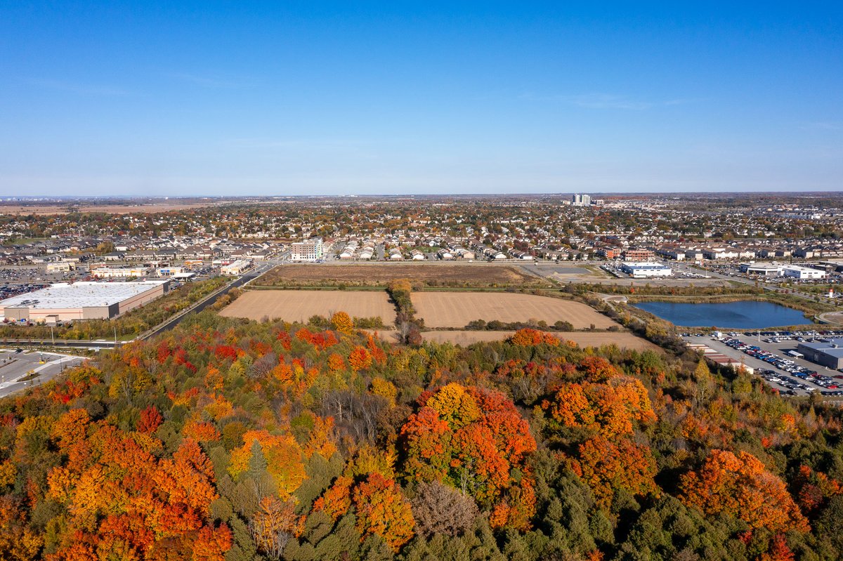 Regional Group tweet media