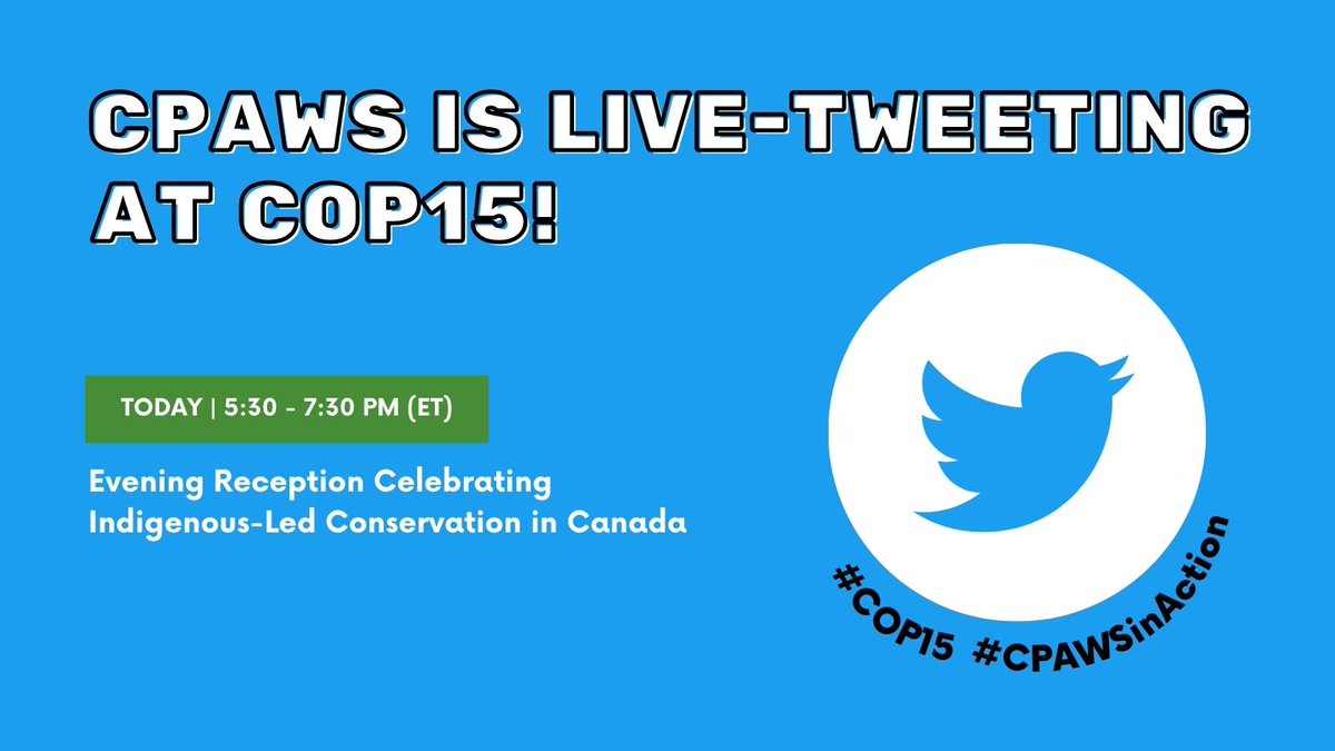 cpaws's tweet photo. Heads up! π’π’π’
CPAWS is at #COP15, and we will be live-tweeting today at a very exciting event on Indigenous-led conservation. Stay tuned! #CPAWSinAction https://t.co/onw65Bdvq9
