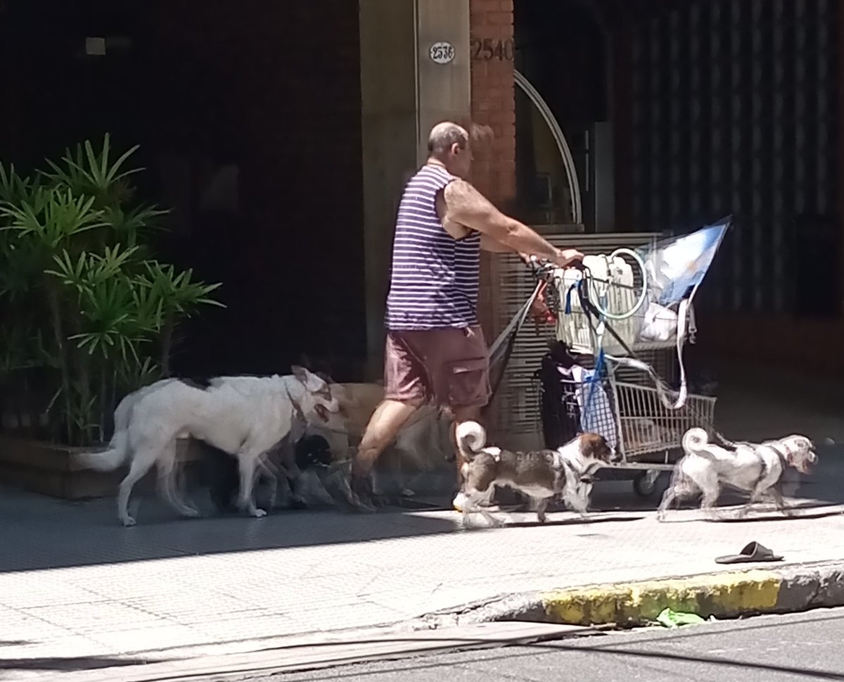 El_TucoMalo's tweet image. Gran Ducado de Belgrano. Paseador de perros. En el carrito lleva un bidón de 20 Lts y botellas con agua y hielo para mojar y darle de tomar a los perros. Un profesional.  @belgranohisto