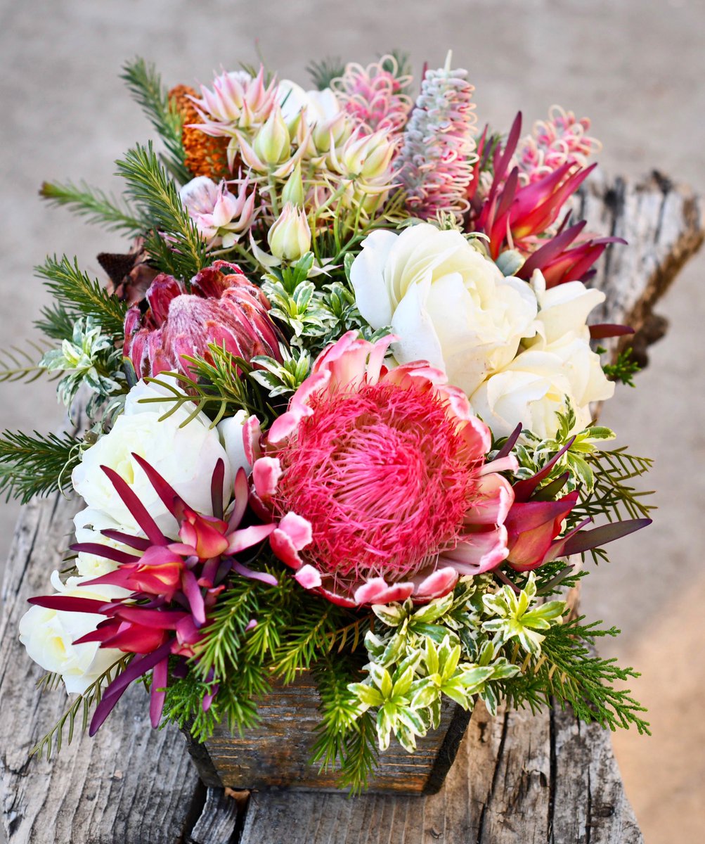 DianaR_Resendiz's tweet photo. Today's agenda: bring more nature indoors and savor every little detail! Happy Friday! 🌿🌷💫🌸🌿 #fridayfeeling #weekendmood #bringnatureinside #fynbos #protea #embracingtheseasons #seekinspirecreate #cagrown https://t.co/b1lXjDYxeG