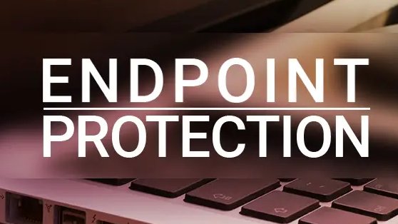 Networking4all tweet media