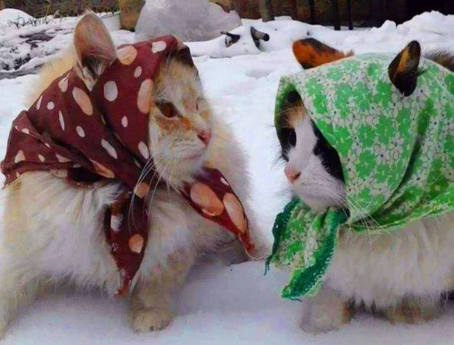 Suno_KuchNahi's tweet photo. @DeepTake Ways to stay warm- https://t.co/ROSZnCo4xA