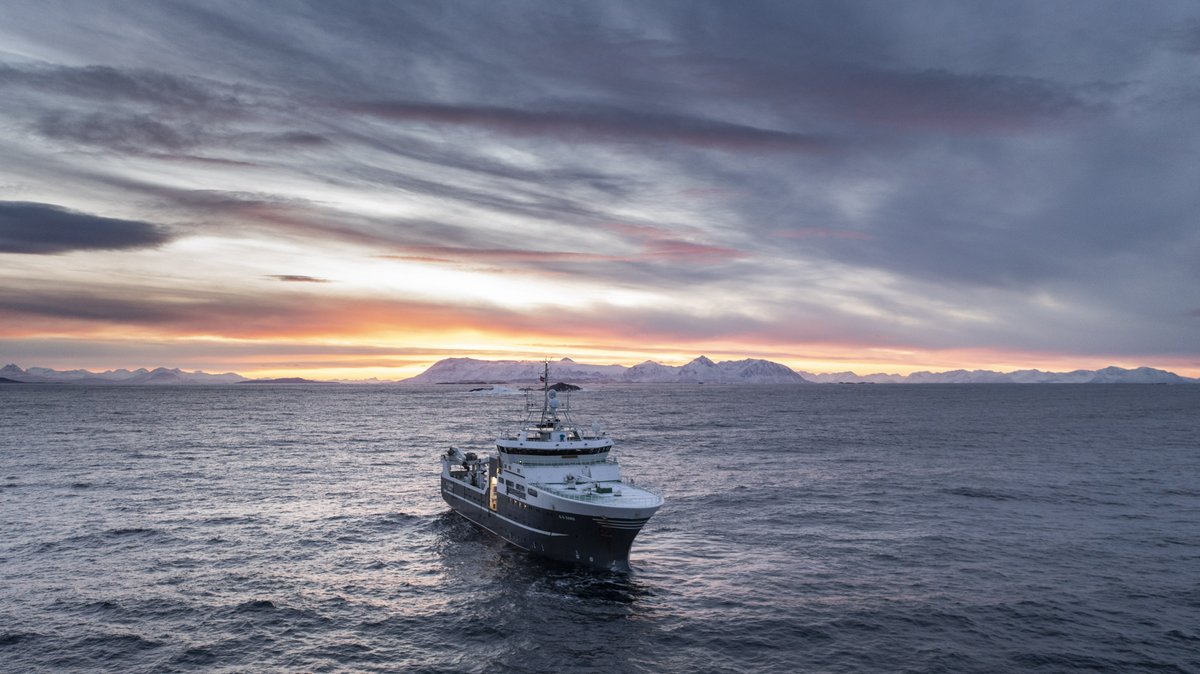 rev_ocean's tweet photo. 🪸 🪸 🪸 Great dives and samples collected today from the cold water corals off the coast of Lofoten, Norway. The team on the #GOSars research vessel also got a well-deserved sunset show.
@Havforskningen
#oceanresearch
#coldwatercorals
#ROVAurora https://t.co/XOa0H2znBb