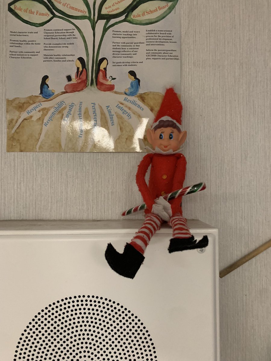 mswipersroom's tweet photo. What a clever little elf we have in our room. https://t.co/XogfEiMmvW