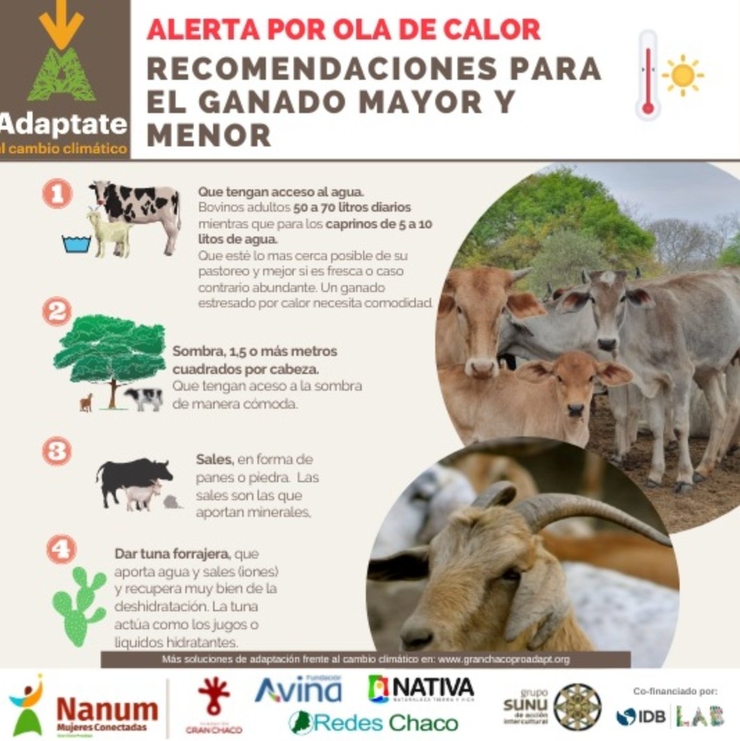 ChacoProadapt's tweet photo. #Desdeelterritorio
Una foto 📸 registra más de 50°C🌡☀️en Potrillo, Ramón Lista - Formosa🇦🇷 y fue enviada por Dante Pérez la pasada jornada desde el lugar.
Con la #AdApp y el Sistema de Alerta Pilcomayo enviamos las siguientes recomendaciones.
#GranChaco
#Cambioclimatico https://t.co/KALbZZruMh
