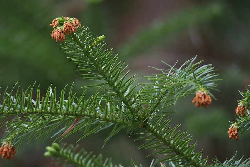 Journal_JSSPN's tweet photo. Published📢#Soil #Aggregate Size Distribution Alters #CO2 but not #N2O Emission Rates in Chinese Fir (Cunninghamia lanceolata) Plantations with N and P Additions

https://t.co/f09zw6AbWW

#GlobalChange #Emissions #ParticleSizeDistribution https://t.co/lfmIzukAhv
