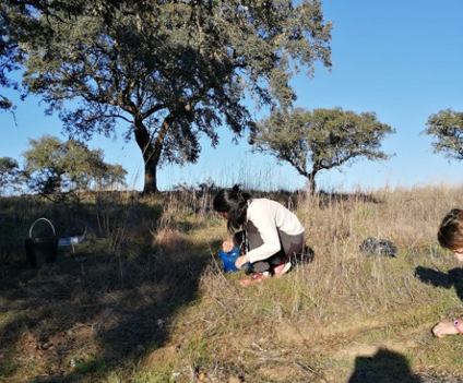 WildFood_PRIMA's tweet photo. In #Portugal, we're developing a Pilot Project about prediction systems for the annual supply of #acorn and flour as raw material for human food products 🌰

Discover what we're doing to know everything about yield from acorn 📝👇 https://t.co/E9HLQlo7zl 

#WildFoodProject https://t.co/iL4ijdHfvC