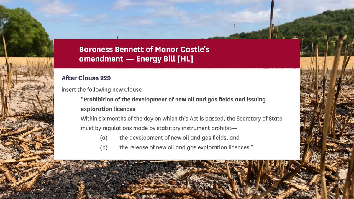 Please <a href="/LibDemLords/">Lib Dem Lords</a>, vote to amend the Energy Bill. Back <a href="/lordtev/">Robin Teverson</a>'s amendment for no #NoNewCoal and <a href="/natalieben/">Natalie Bennett</a>'s for no new oil and gas.

<a href="/LibDemLords/">Lib Dem Lords</a>
@oates_jonny
<a href="/LordRedesdale/">𝐋𝐨𝐫𝐝 (𝐑𝐮𝐩𝐞𝐫𝐭)𝐑𝐞𝐝𝐞𝐬𝐝𝐚𝐥𝐞</a>
<a href="/LordRennard/">Chris Rennard 🔶💙🇺🇦</a>
<a href="/kateparminter/">Kate Parminter</a>
<a href="/HLEnviroClimate/">Lords Environment and Climate Change Committee</a>
<a href="/RichardNewby3/">Dick Newby</a>
<a href="/EdwardJDavey/">Ed Davey</a>