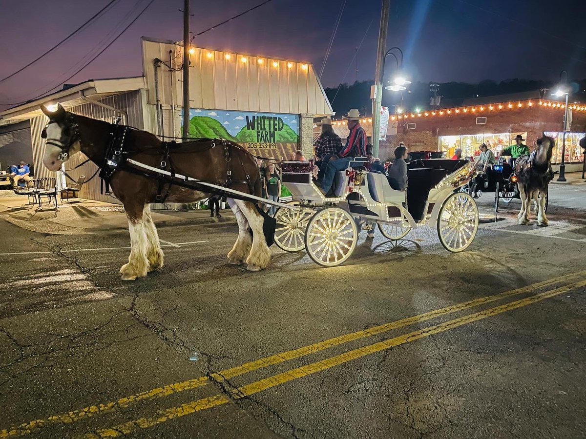 oneonta_al's tweet photo. What a wonderful evening of Christmas magic. Thanks to the Oneonta Business Association for organizing a beautiful event. We appreciate the OHS Singers, Ms. Martha Chasteen, the OPD and OFD, and all participating vendors for helping make the night special. ❤️💚

Merry Christmas! https://t.co/67WjIFlifx