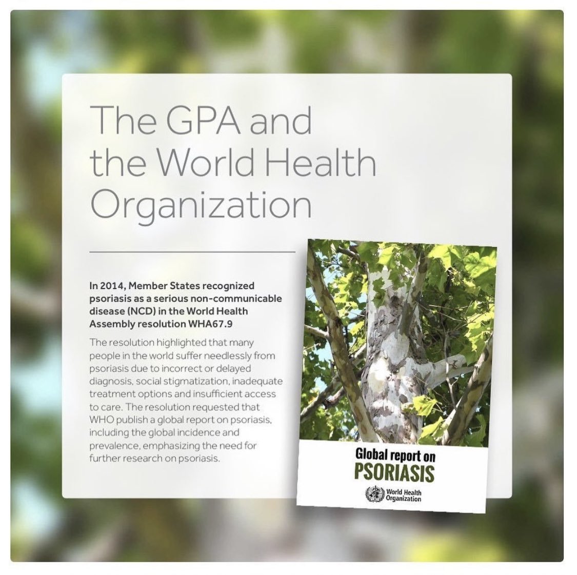 Did you know that the World Health Assembly passed a resolution in 2014 highlighting #psoriasis as a serious non-communicable disease (#NCD)? 

This was followed by the <a href="/WHO/">World Health Organization (WHO)</a> report on psoriasis in 2016, paving the way for the development of the GPA