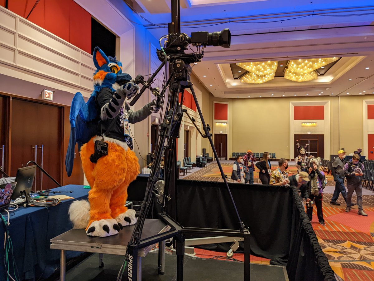 Got to operate a camera @FurFest this past weekend. It was a blast! #FurFest #FursuitFriday 📸@RexKCollie 🪡@creative_beasts