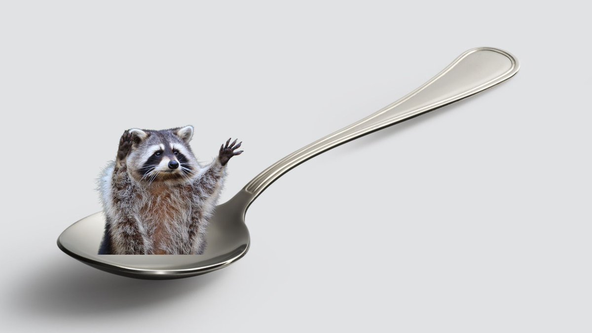 N.C. Wildlife tweet media