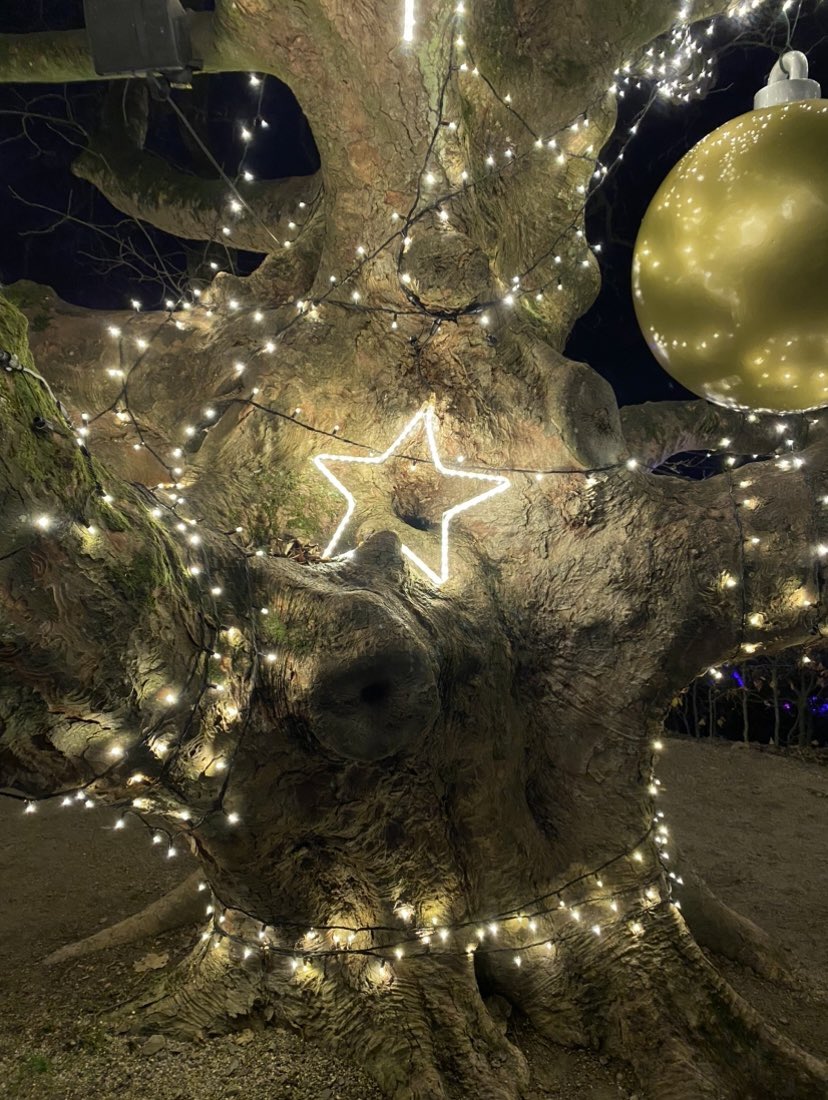 TheAstroBarn's tweet photo. Great to see @CoastalCustodia at @AlnwickGarden this week. Looking forward to welcoming you to @TheAstroBarn next week. Our guests are loving the @AlnwickGarden #winterlightstrail #christmastime @VisitNland @VisitNlandbiz https://t.co/AlFy77W4Yt