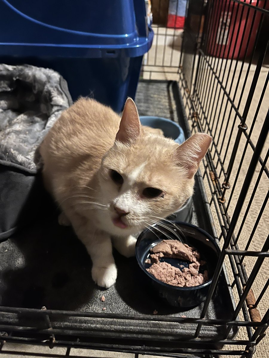 Teresa Genaro tweet media