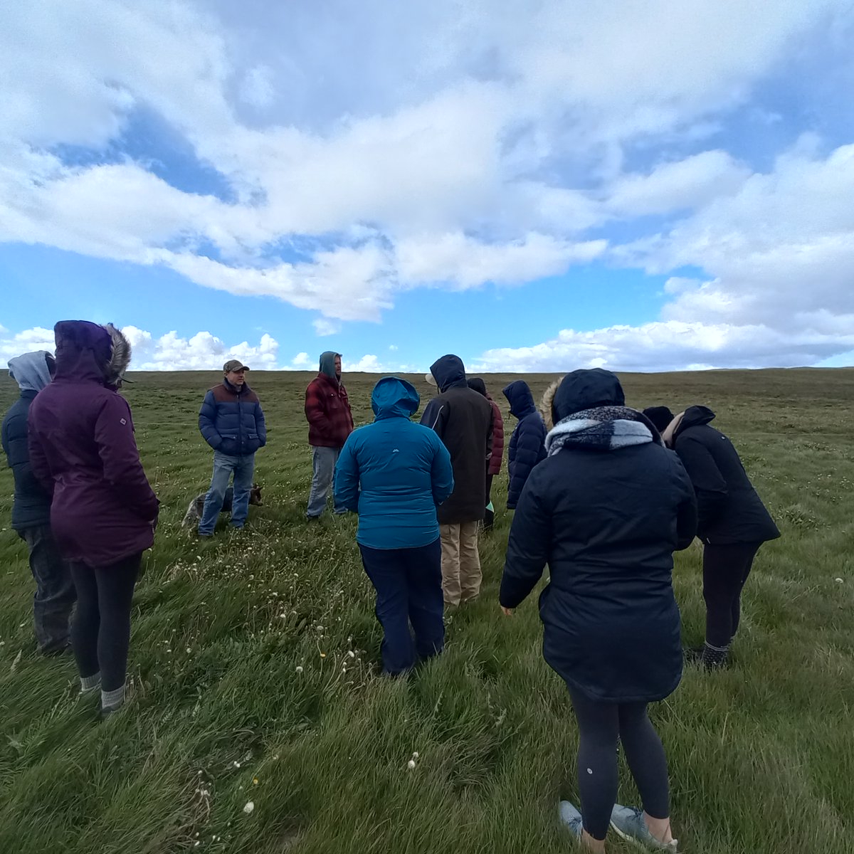 Seguimos con la visita de los/as estudiantes de <a href="/MasseyUni/">Massey University</a> a #magallanes. El martes 6, junto a Iván Ordoñez de <a href="/Inia_Kampenaike/">@IniaKampenaike</a> visitaron la <a href="/udemagallanes/">Universidad de Magallanes</a> donde el profe Sergio Radic, les hizo una clase. Luego se trasladaron a Río Verde a seguir observando la realidad regional