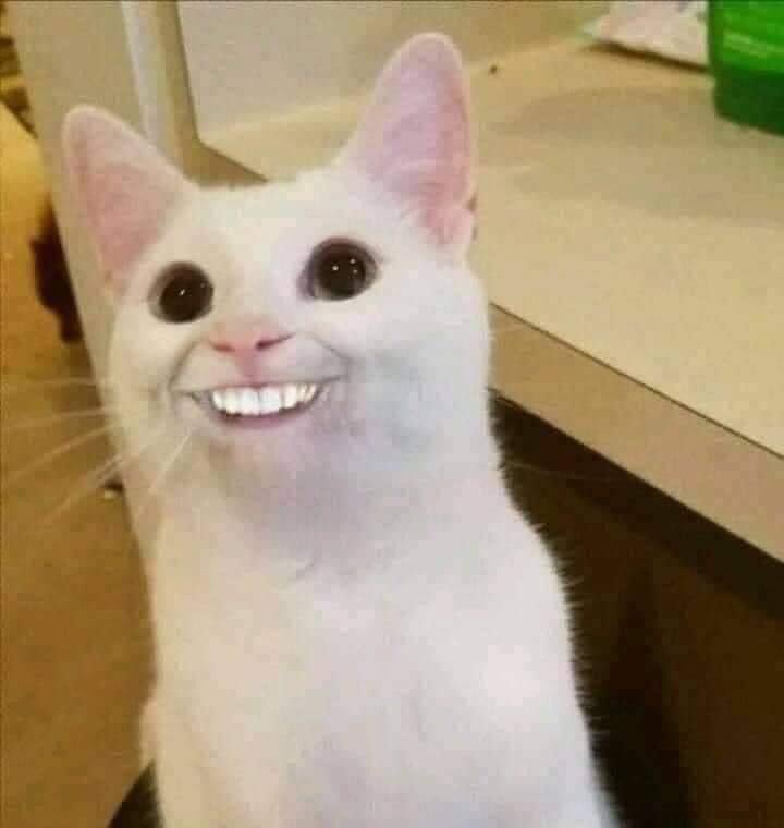 *حد بيتكلم معايا فـ حاجة مُهمة
عقلي: اعمليلو كده