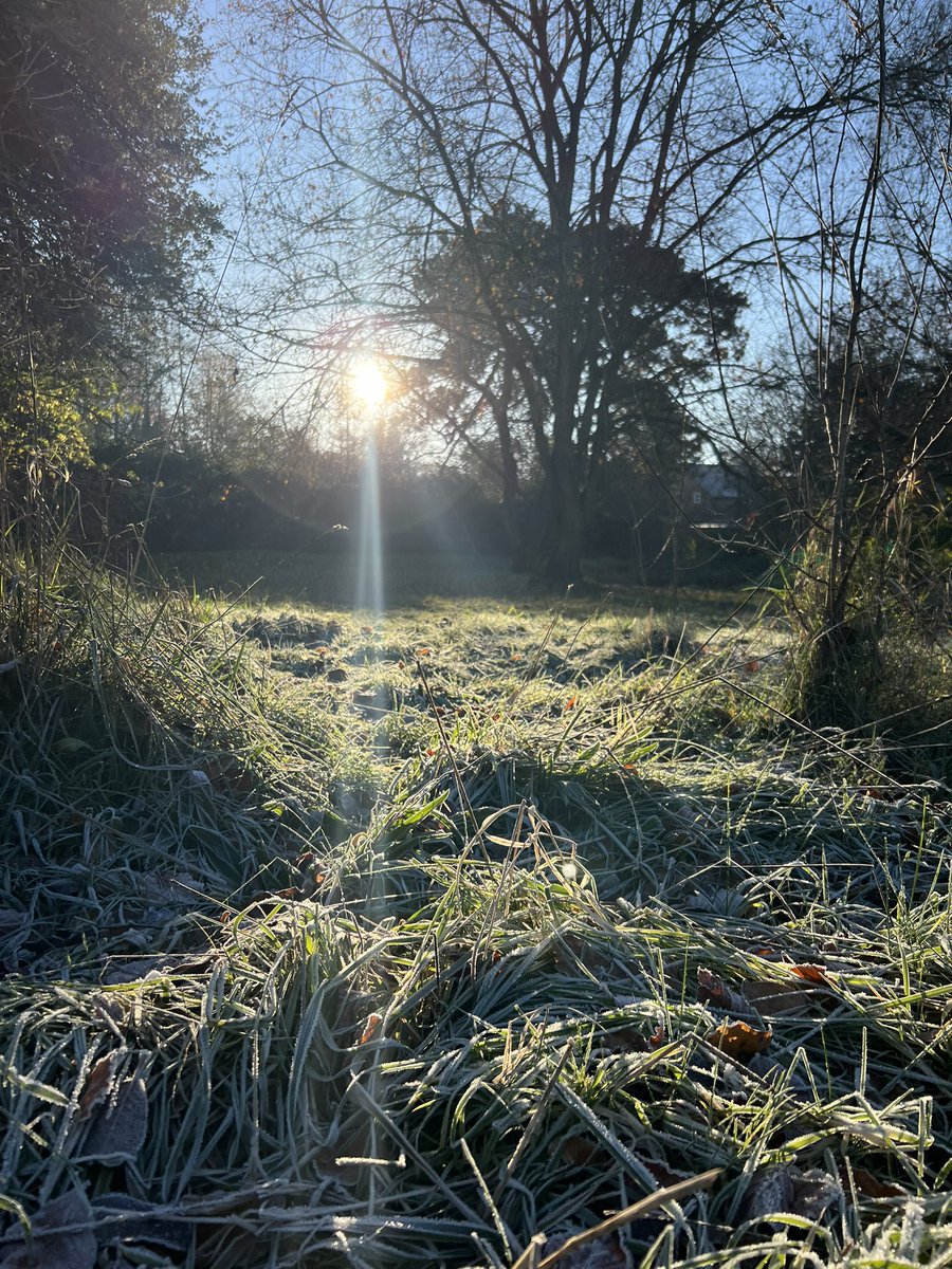 @acornpe (@acornpe) on Twitter photo Chilly start for our last forest school session of the year! It’s beginning to look a lot like Christmas ❄️🔥<a href="/primary_avenue/">The Avenue Primary School & Children's Centre</a> <a href="/HeytesburySch/">HeytesburyPrimary</a> <a href="/stjohnswarmins1/">@stjohnswarminster</a> <a href="/DiltonMarshSch/">Dilton Marsh Primary School</a> <a href="/WestAshtonCofE/">West Ashton C of E Primary School and Nursery</a> Chilly start for our last forest school session of the year! It’s beginning to look a lot like Christmas ❄️🔥<a href="/primary_avenue/">The Avenue Primary School & Children's Centre</a> <a href="/HeytesburySch/">HeytesburyPrimary</a> <a href="/stjohnswarmins1/">@stjohnswarminster</a> <a href="/DiltonMarshSch/">Dilton Marsh Primary School</a> <a href="/WestAshtonCofE/">West Ashton C of E Primary School and Nursery</a>