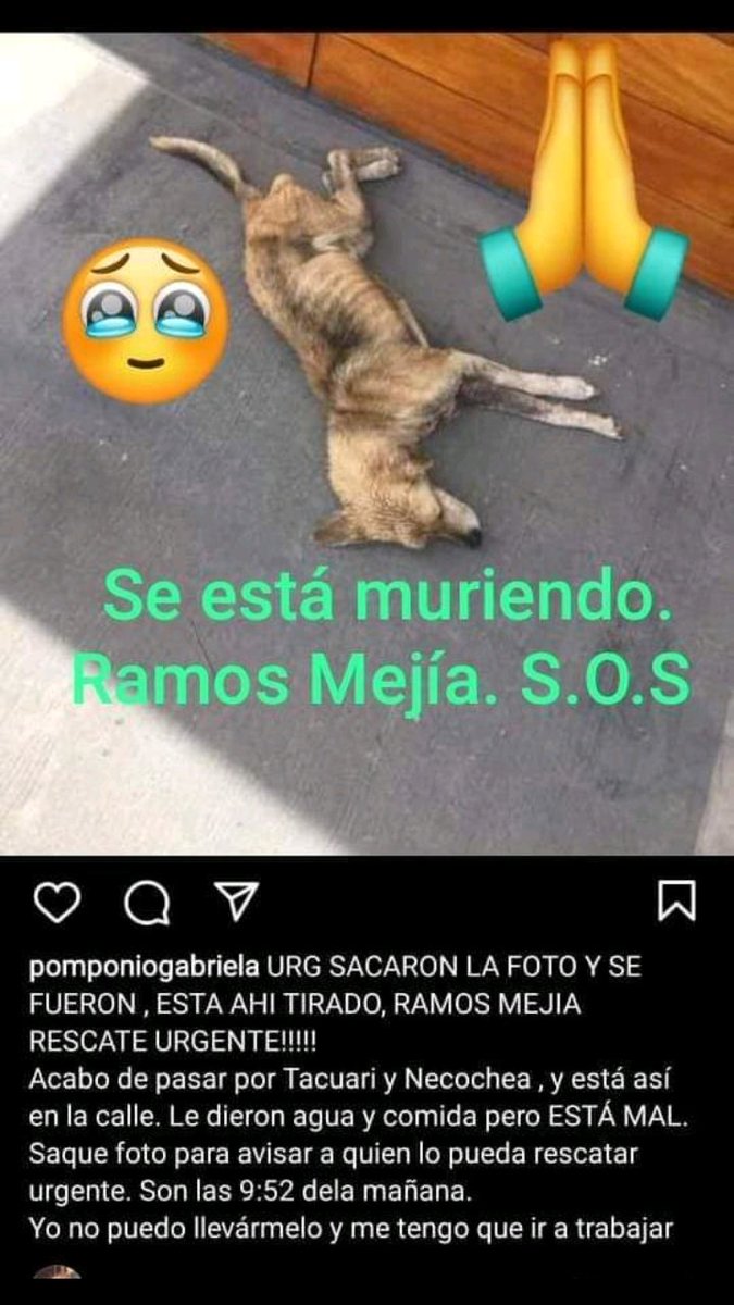 ComoNoAdorarlos's tweet photo. Urgente #RAMOSMEJIA 🆘️🆘️🆘️👇👇👇👇👇👇 https://t.co/5hlV9BpWa4