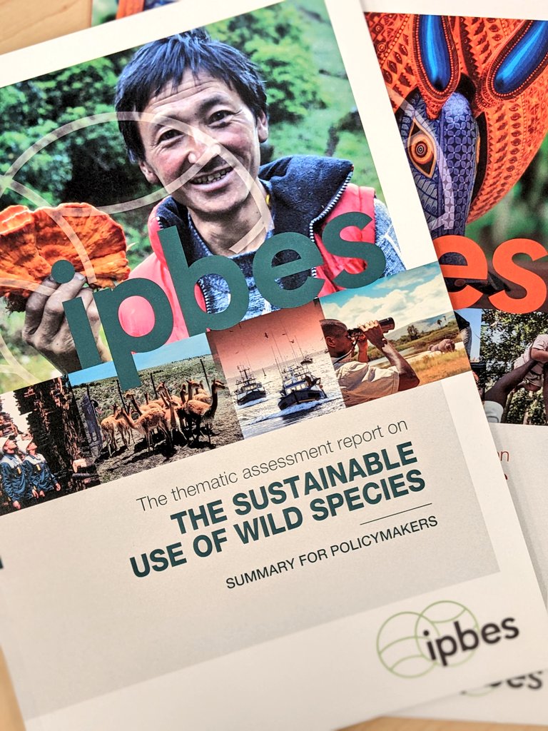 📢 The beautiful and finalised @IPBES #SustainableUse Assessment is out and available at doi.org/10.5281/zenodo…

#biodiversity #wildlife #sustainable #COP15 #COP15montreal