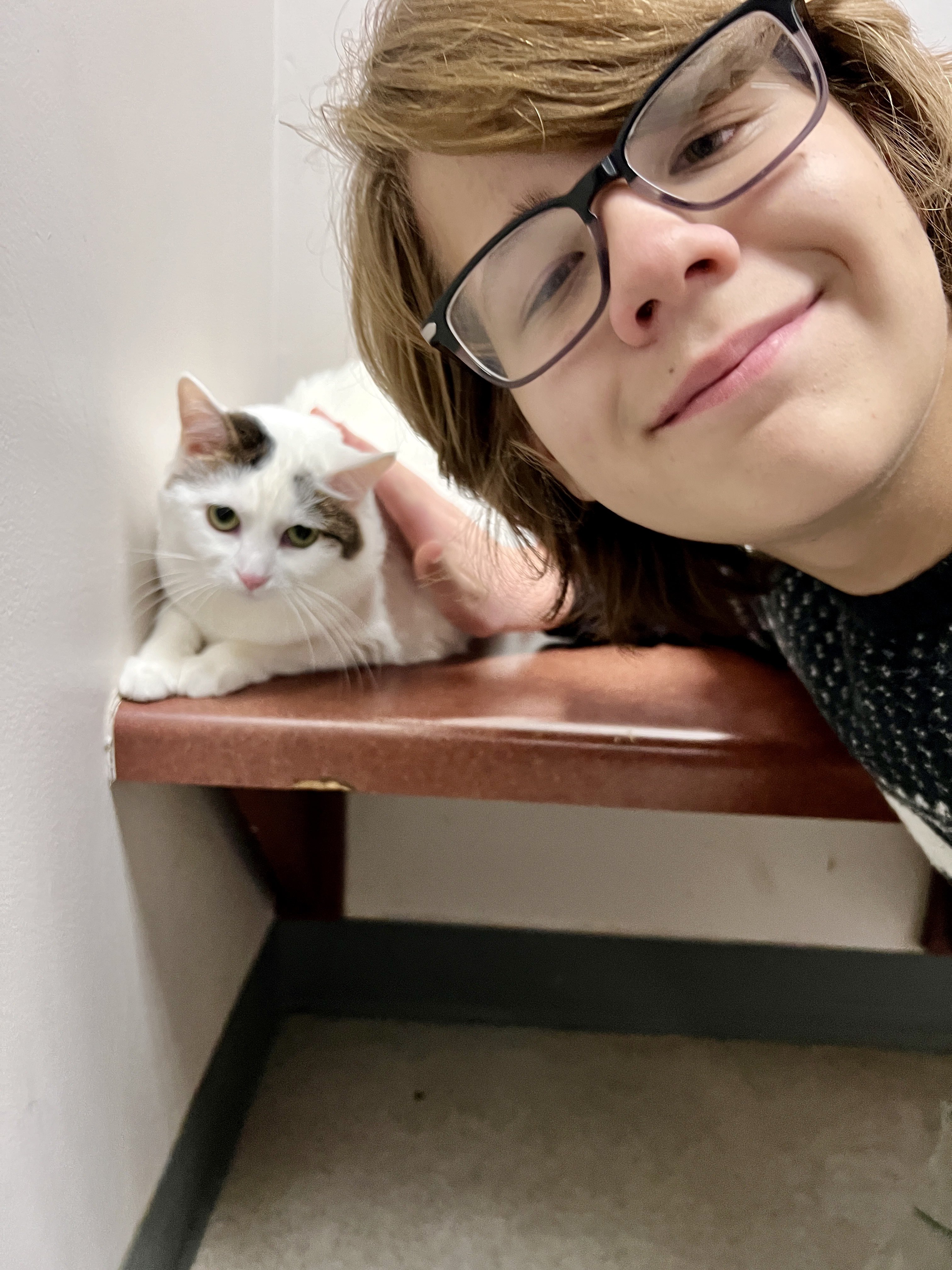 WeRateCats (_We_Rate_Cats) / Twitter