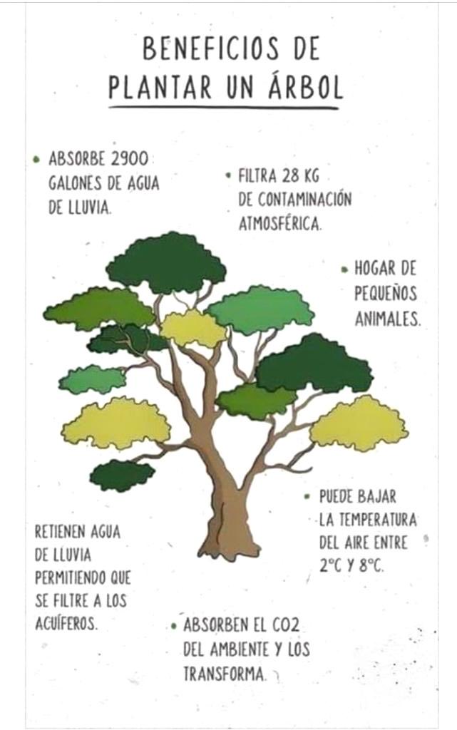 CdRotario's tweet photo. @savetheplanet https://t.co/8yiuavWdrK