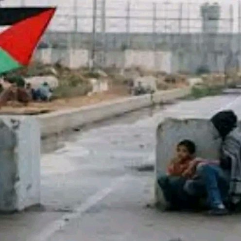 Dr_Aisha40's tweet photo. The stone sound's is louder than usurpers sound's 🇵🇸
#FirstIntifada
#Intifada1987 https://t.co/ybL4RpGGVq
