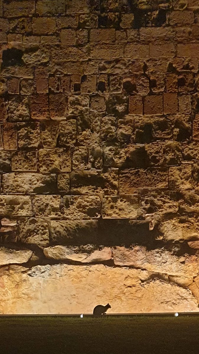 arditus's tweet photo. #Tarragona 
@TGNturisme https://t.co/y7PhMlkuQW