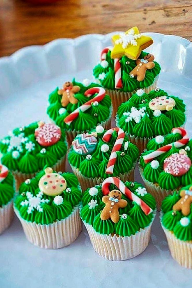 attivitaprep's tweet image. 20.