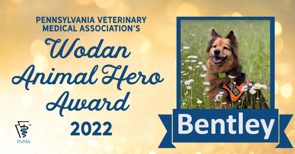 Tweet by PA Veterinary Medical Association